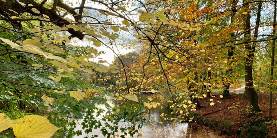 Bagno-Park-Führung für Kinder