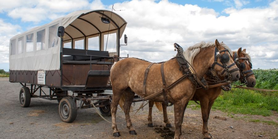 Planwagen Beispiel