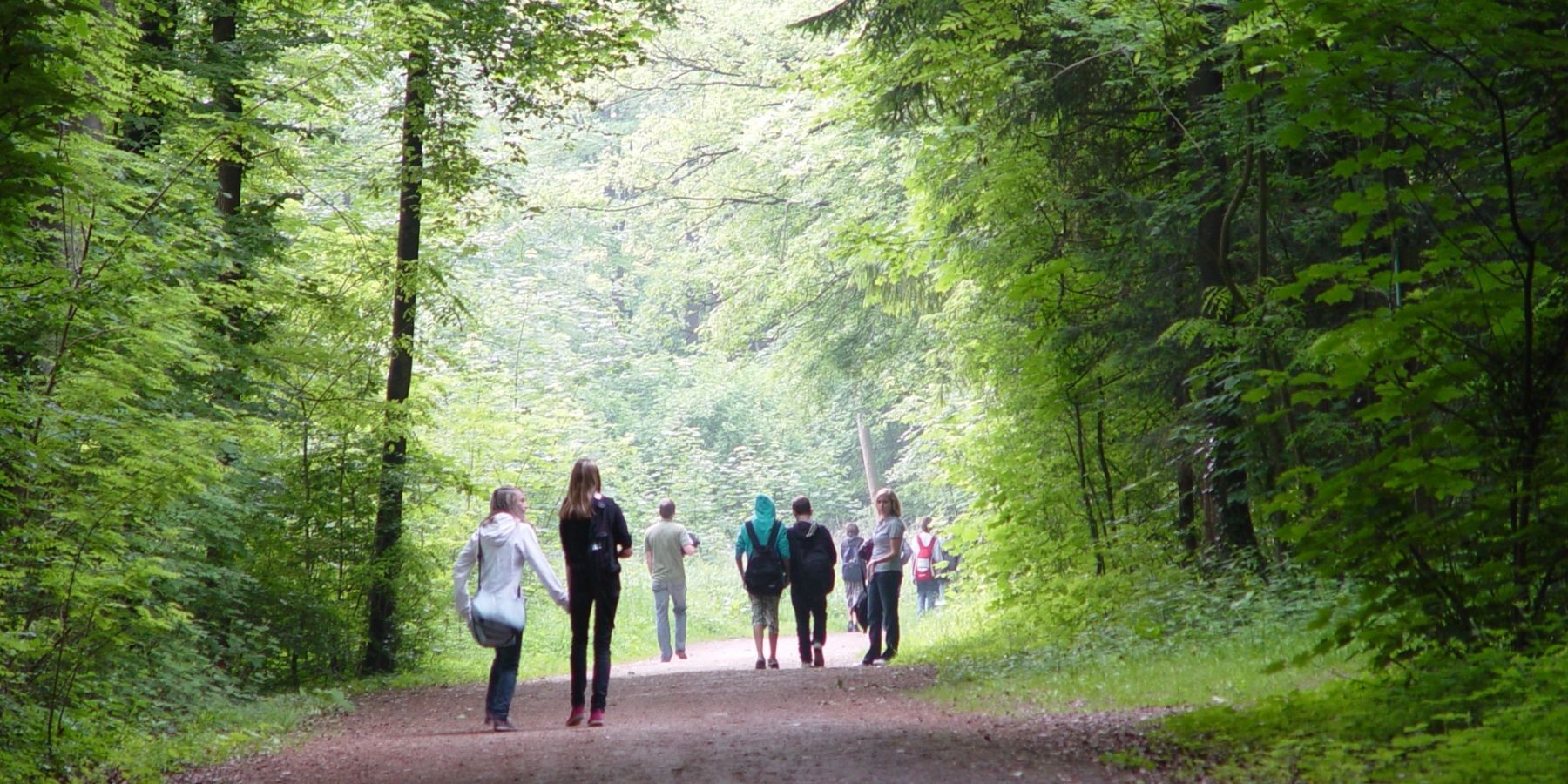 Waldgebiet Buchenberg Steinfurt Marketing + Touristik
