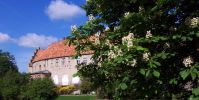 Kastanienblüten vor dem Schloss