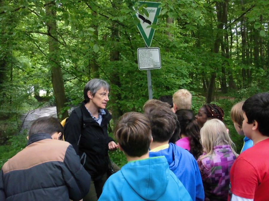 Fledermäuse im Bagno-Park