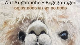 Auf Augenhöhe - Begegnungen mit Alpakas, Wattläufern und mehr…
